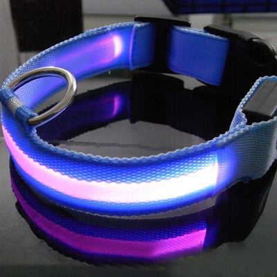 Party Animal Safety Collar